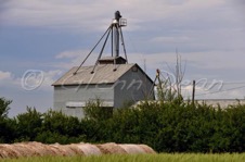 Acme area farm
July 2010